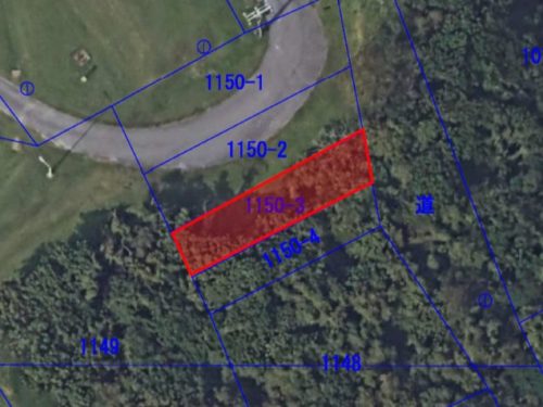 航空写真 航空写真